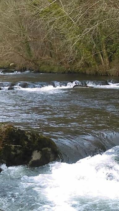 Stunning 3 Bed Riverside Cabin In Snowdonia Caeathro Luaran gambar