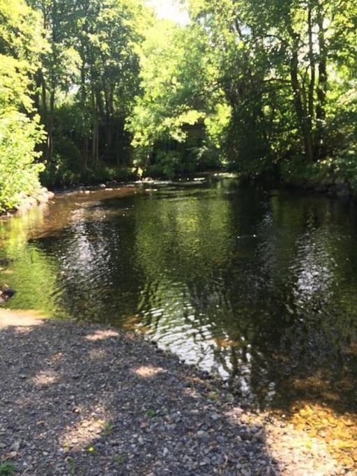 Stunning 3 Bed Riverside Cabin In Snowdonia Caeathro Luaran gambar
