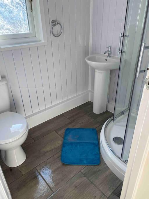 Stunning 3 Bed Riverside Cabin In Snowdonia Caeathro Luaran gambar
